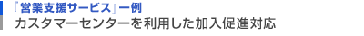 『営業支援サービス』一例　WEB物販サイトの構築-ＥＣサイト構築